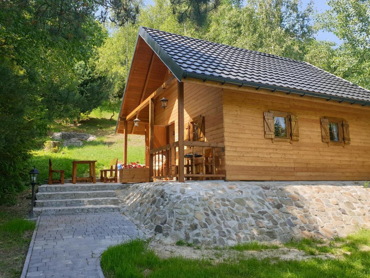 Domki Letniskowe Pod Lasem Koziniec Dış mekan fotoğraf